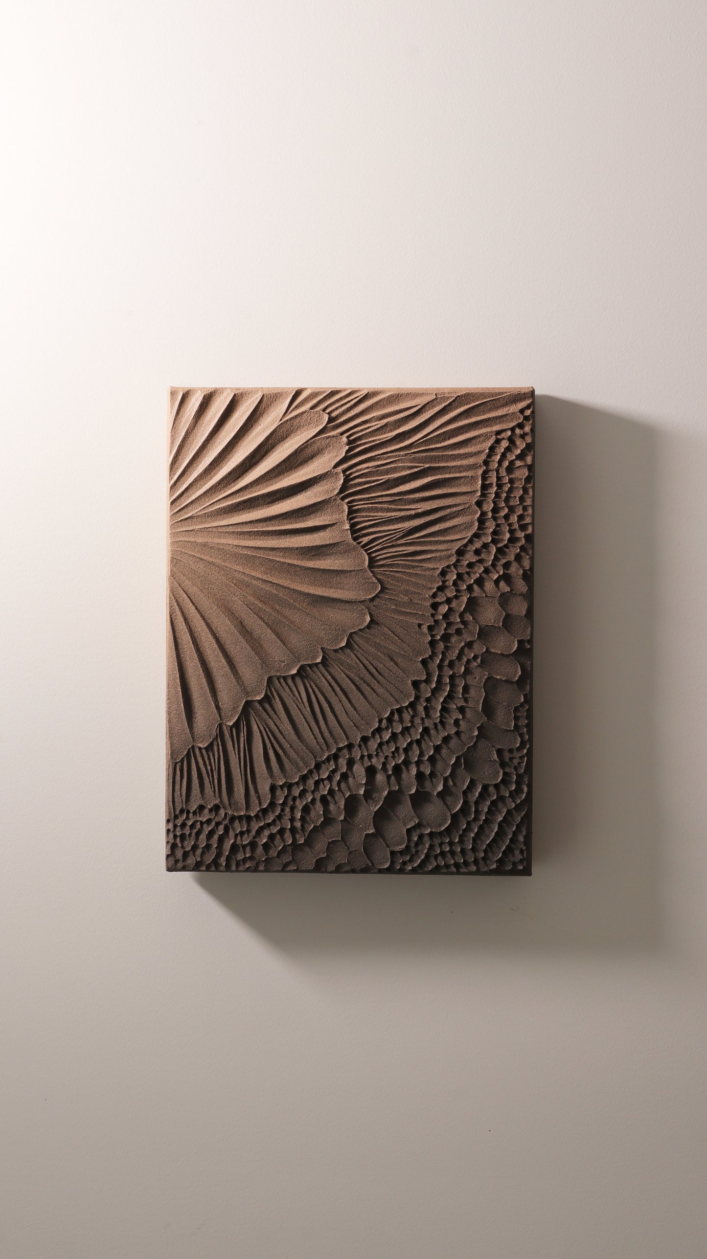 Anthony Pieters 'Forma Fundata'
