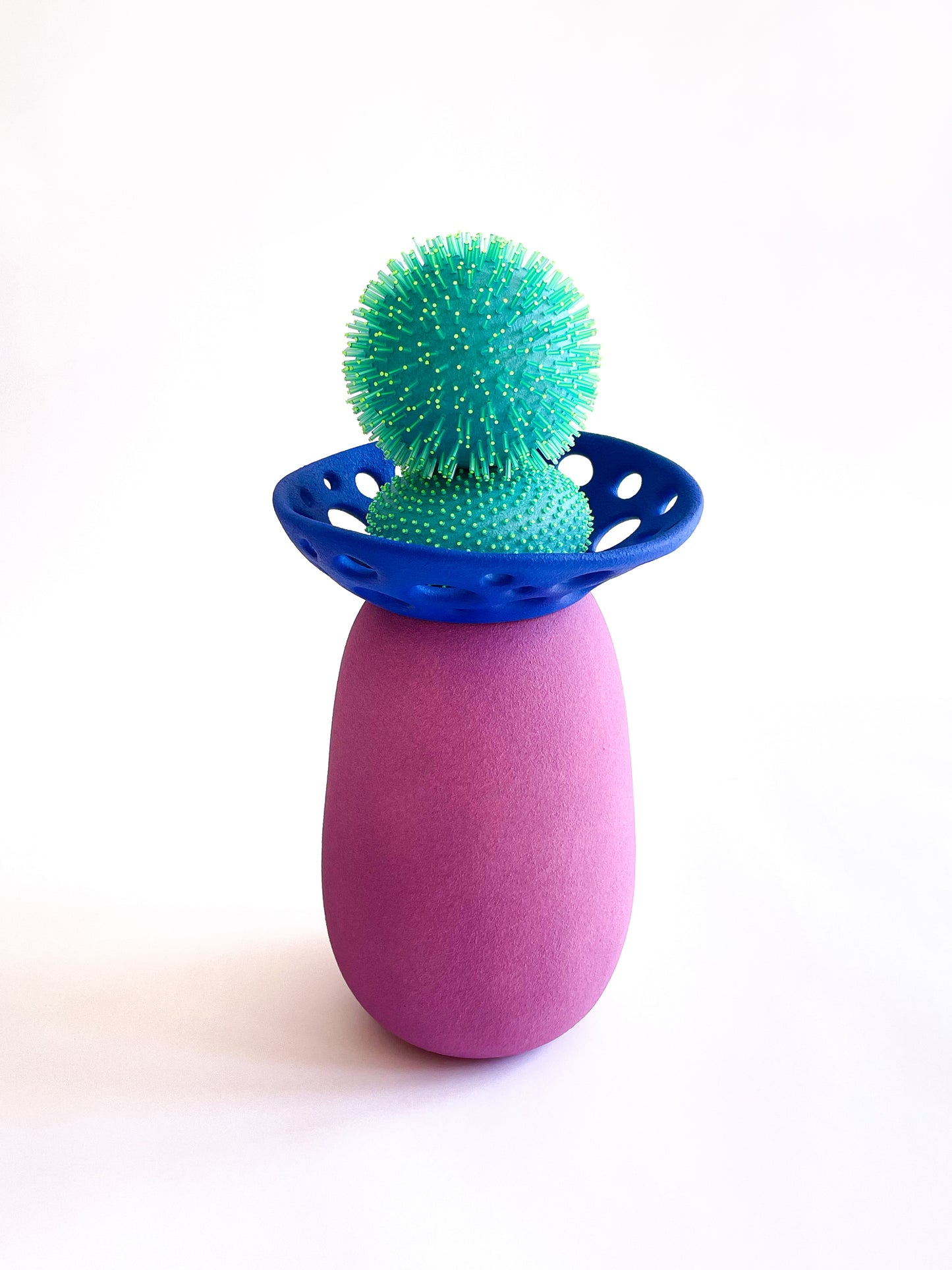 Lucie Billingsley- 'Fungal Constelations'