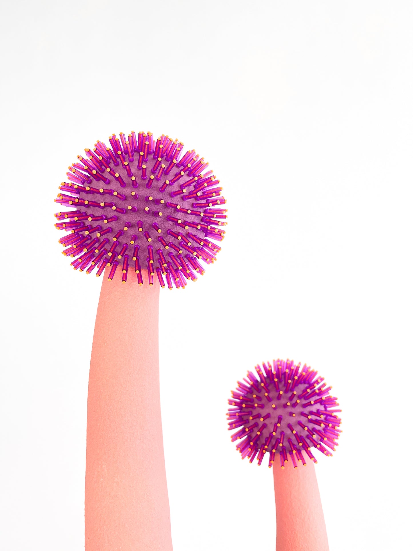 LUCIE BILLINGSLEY "Mycota Rising"