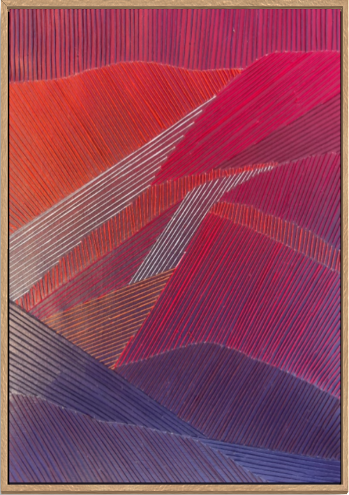 Tarli Bird- Yosemite'